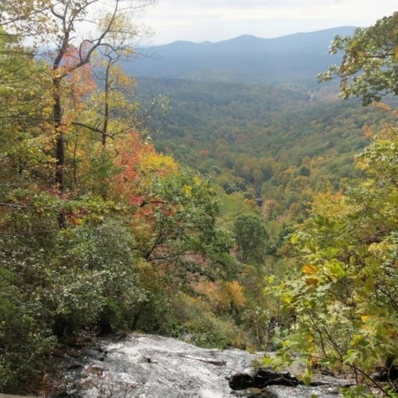 Welcome! - Picture 11 of 16